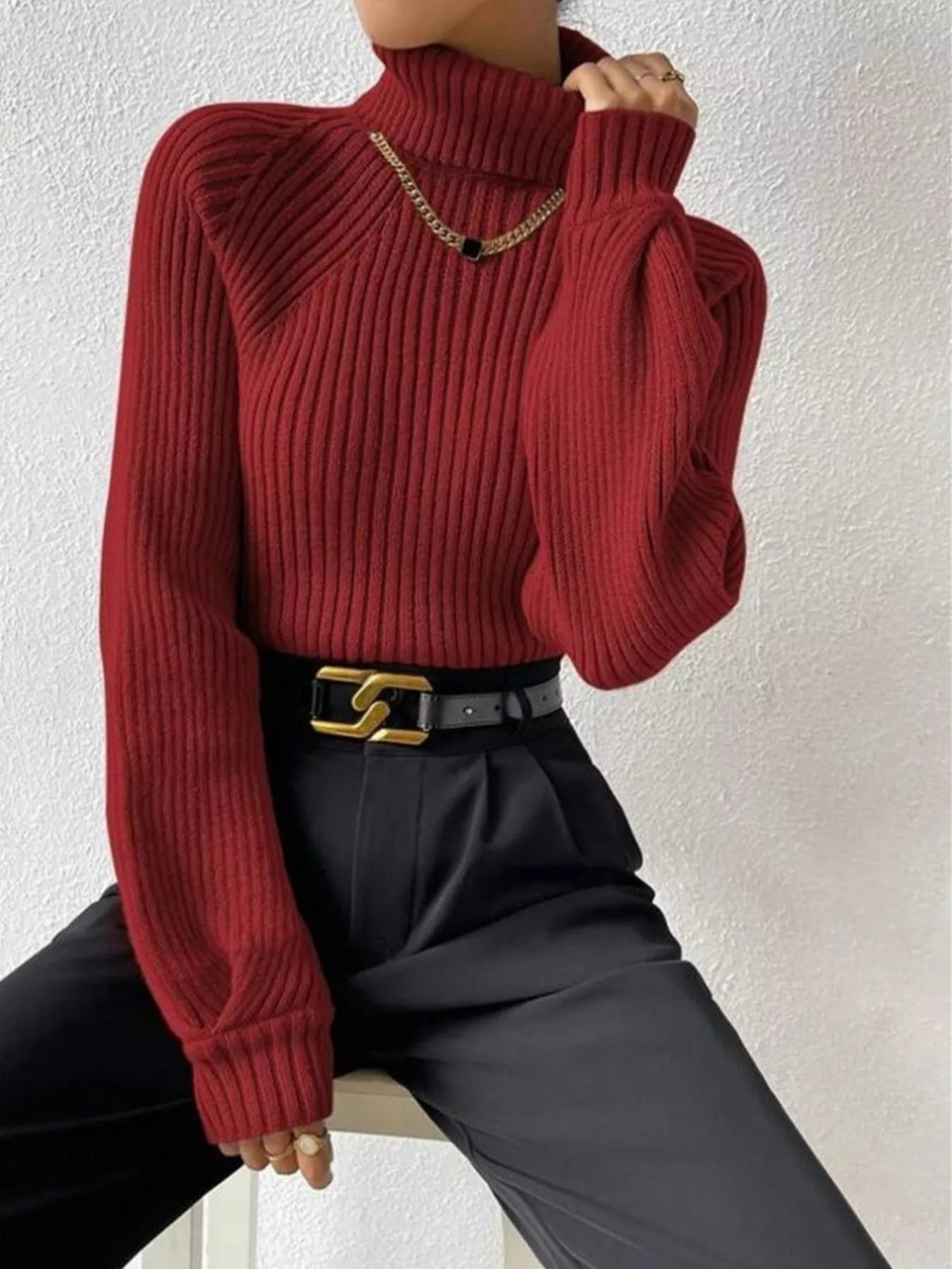 Ribbed Knit Turtleneck Sweater – detail view 2 – Muse & Moss